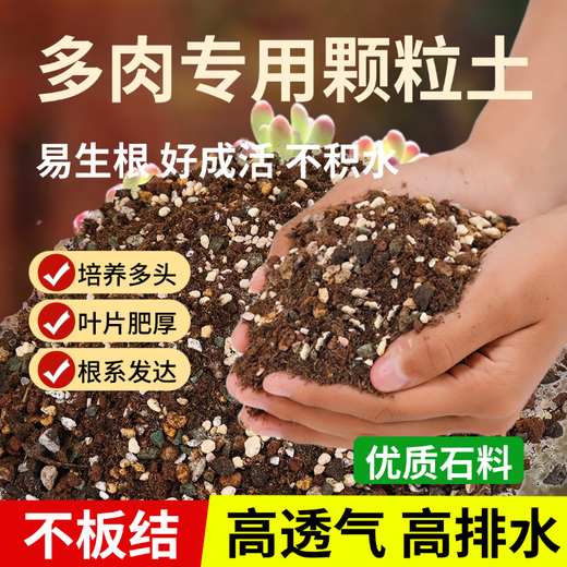 Flower Master Succulent Nutritional Soil Special Granular Soil Succulent Soil Potted Planting Soil for Seedlings and Old Piles Breathable Soil Luxurious Succulent Soil 5Jin Jin is equal to 0.5kg, universal for seedlings.