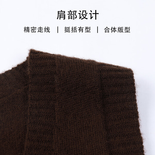SNOWFLYING 100% sheep wool knitted vest women's new V-neck solid color casual wool sweater versatile layered sweater