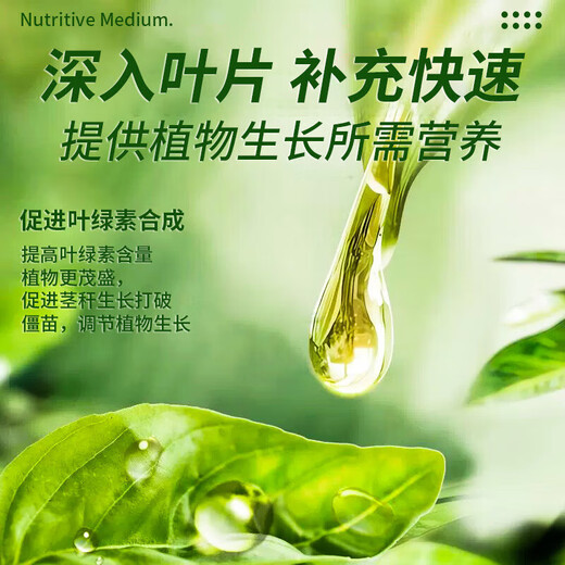 OUOETY leaf spot disease happy tree special fertilizer nutrient solution for flower cultivation, dry and fallen leaves hydroponic potted plant resurrection liquid happy tree nutrient solution 800ml*2 bottles
