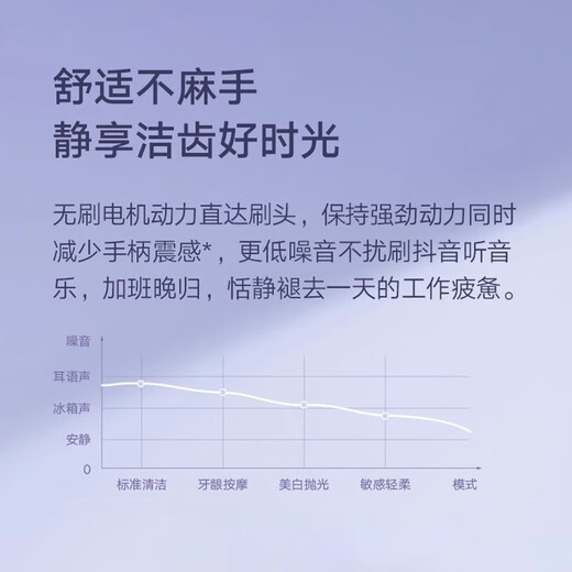 Sonic electric toothbrush T302 household waterproof rechargeable boy and girl couple student party toothbrush electric toothbrush purple sonic electric toothbrush