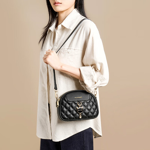 Rote Libellefly-Tasche Frauenbeutel 2025 Neues leichte Luxus-Luxus-Kuhlatten-One-Shoulder-Crossbody-Handtasche Geschenk für die Geburtstagsgeschenk der Freundin Mama