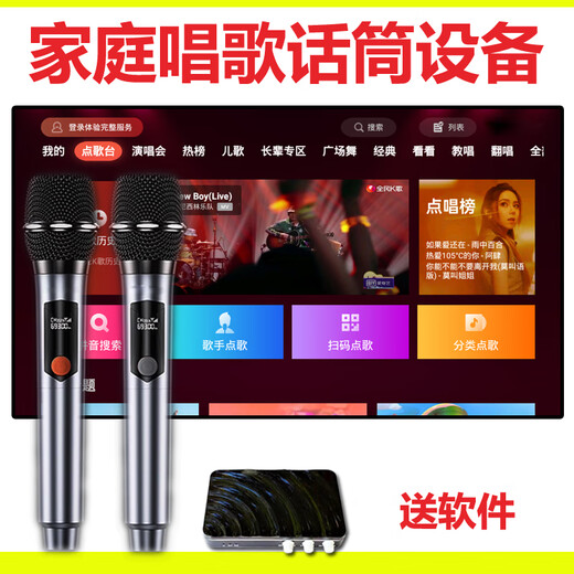 Projector TV karaoke wireless microphone home sound wall microphone with audio equipment set home KTV high-end version + 2 rechargeable microphones