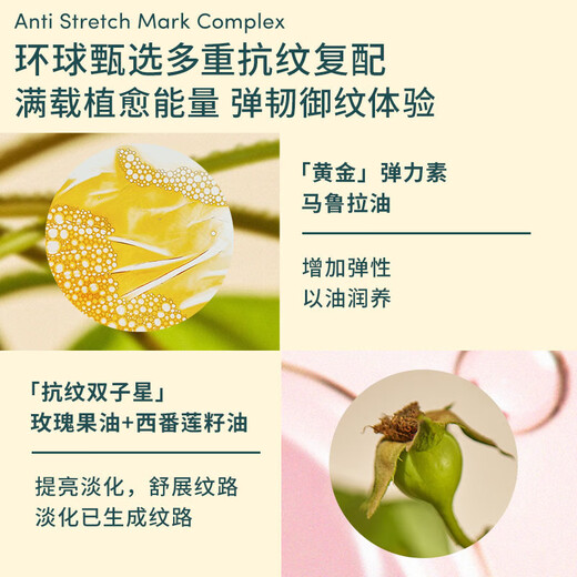 EVER EDEN An Weiyi Essence Oil, Prenatal Prevention for Pregnant Women, Postpartum Dilution of Wrinkles and Obesity Lines, Pregnant Women Essence Oil 50ml, Popular Model, Golden Repair Belly Essence 50ml