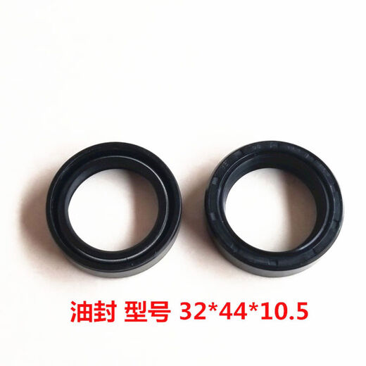 Single-Support Qianqiu adaptiert an Haojue Baoyi Hj12518 Dishuang HJ15099A9C Motorrad vordere Gabel Vordere Stoßdämpfer Vorderschockdämpfer Zwei Öldichtung Zwei Flaschen zwei Flaschen