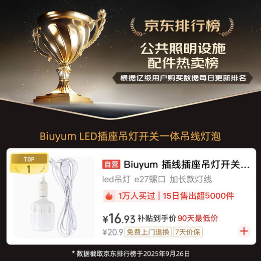 Biuyum plug socket chandelier switch extension cord hanging LED energy-saving lamp with cord plug integrated lamp E27 screw socket two plugs 5 meters light cord + 1 40W bulb