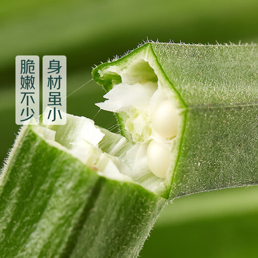 Okra 200g