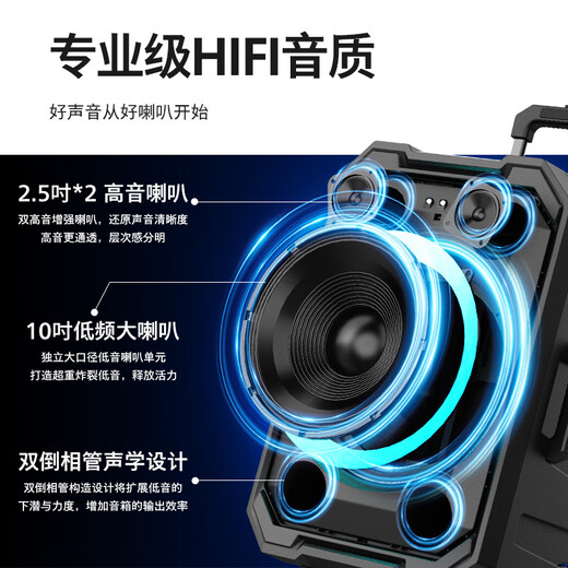 Philips (PHILIPS) 10-inch square dance audio outdoor stage high-power mobile portable trolley speaker wireless Bluetooth high-volume karaoke amplification with dual microphone SD617T