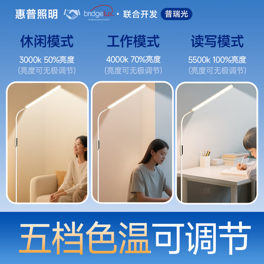 HP floor lamp eye protection living room bedroom children's study student learning reading desk lamp piano lamp vertical Prelight