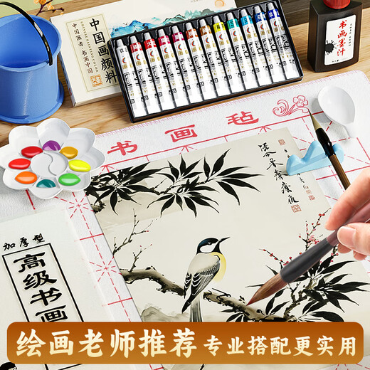 Benyi 12 Color Chinese Painting Set Chinese Painting Pigments Beginner Set Chinese Painting Supplies Tools Complete Set of Ink Painting for Primary School Students and Children Entry-Level Professional Advanced Meticulous Painting