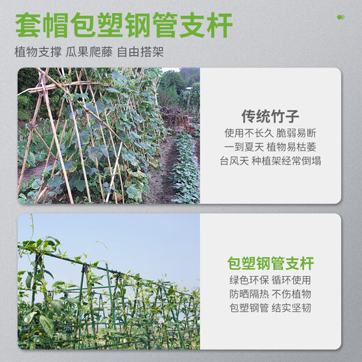 Plastic-coated steel pipe gardening support pole, cucumber, beans, grapes, vegetable climbing pergola, green plant rack, climbing frame, diameter 11mm, length 180cm, 10-pack