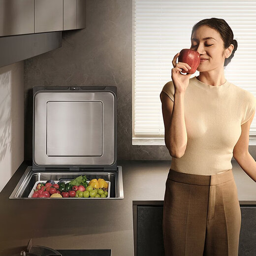 Fotile built-in dishwasher JBSD1F-03-T2 sink vegetable washer with large capacity, double-layered pots and bowls washing at the same time, professional washing of fruits, vegetables and seafood, integrated washing, draining, drying and storage JBSD1F-03-T2