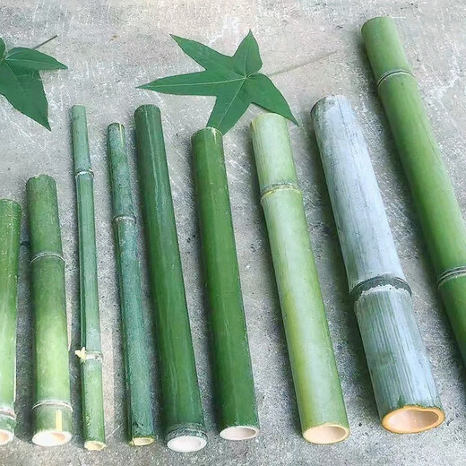 Bamboo tube, fresh bamboo tube, natural bamboo pole, small bamboo wedding table decoration, green bamboo floral decoration, short size, outer diameter 1-2cm, height 20cm (5 pieces in total)