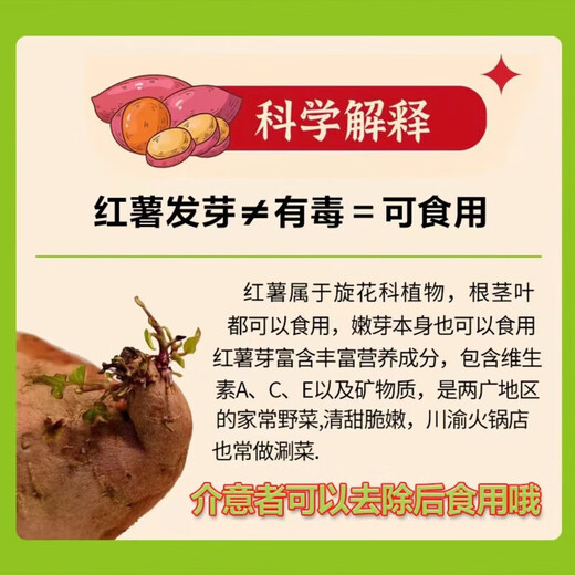 Jingxiansheng Authentic Shandong Durian Sweet Potato 3Jin Jin equals 0.5kg Single Fruit 100g+ Sweet Potato Sweet Potato Sweet Potato Vegetable Whole Grain Straight from the Source