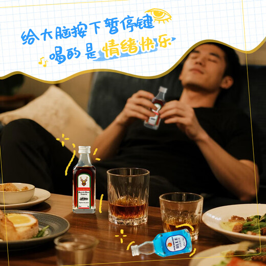 路易布兰登洋酒威士忌金酒伏特加朗姆酒50ml*12瓶调酒便利店小酒版组合套装