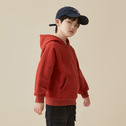 Duojia small embroidery on the chest, boys' hooded sweatshirt, new year clothes, autumn and winter style, medium and large children's sports velvet top