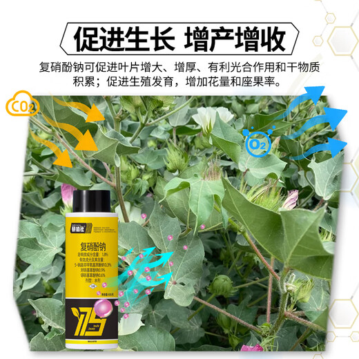 Yanzhishe Compound Sodium Nitrophenolate Growth Regulator Genuine Cotton Breaks Dormancy to Accelerate Rooting and Promote Growth Foliar Fertilizer Agricultural Materials 1 Bottle 500g Regulates Growth and Increases Production and Income