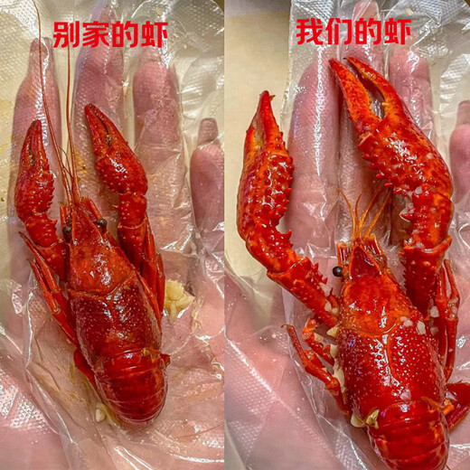 Jingmi spicy crayfish 2025 new shrimp 618g, 80% clean shrimp, 4-6 yuan, heated and ready to eat