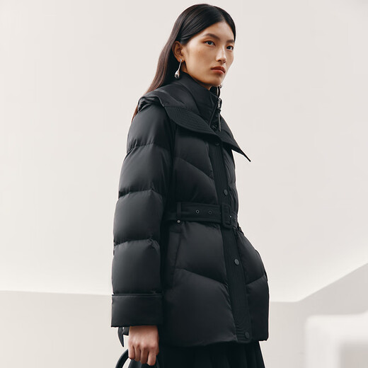 Ai Lai Song Jia's same style down jacket women's 2025 autumn and winter temperament short 90 goose down waist warm jacket carbon black S