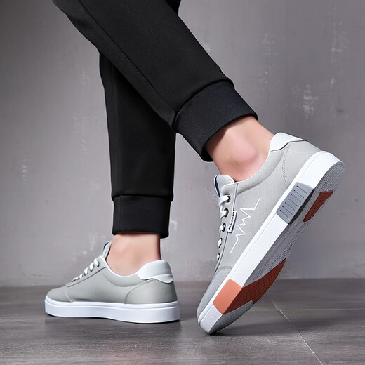 SNGUNY高端轻奢品牌休闲鞋男新款老北京布鞋男春秋季透气板鞋男鞋子男 帆布鞋6636黑白 41 255