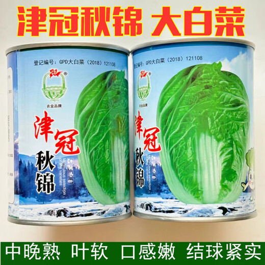 Jinguanqiujin yellow-heart Chinese cabbage seeds, high-yielding and bolting-resistant, South Korean spring and autumn agricultural field planting vegetable seeds, Jinbei Jinguanqiujin Chinese cabbage 50g