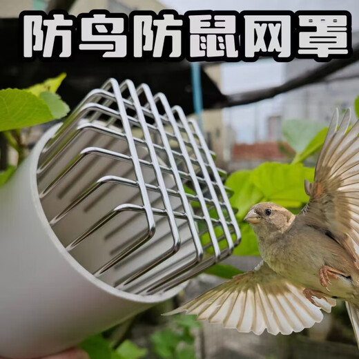 Jinglan 304 Anti-rodent and Bird Mesh Cover Bathroom Exhaust Pipe Ventilation Fume Port PVC Sewer Pipe Floor Drain Mesh Cover 999 Medium 304 Stainless Steel 75 Model Works