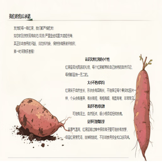 Authentic Tobacco Potato No. 25 Oil-flowing Honey Roasted Sweet Potato Sweet Potato Origin Straight-haired Sweet Potato Net Weight 4.5 Jin Jin equals 0.5 kg Single fruit 50-150g