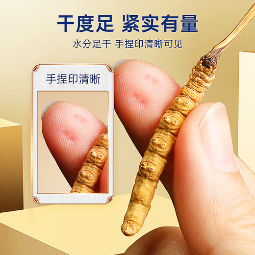 Lila und blaues Blumenmeer Cordyceps sinensis zuerst getrockneter Cordyceps Tonic für Weihnachtsgeschenk Geschenkbox 3 Stück/g 20 Gramm [Ladenmanager Empfehlung]