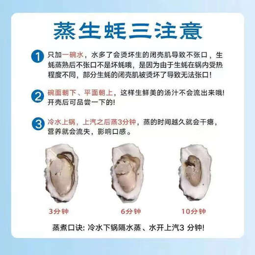 Fresh Rushan oysters, fresh oysters, oysters, 5 Jin Jin equal to 0.5 kg box, 3XL medium oysters (11-16 pieces per box) whole box, 5 Jin Jin, equal to 0.5 kg oysters