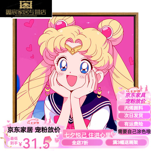 Naiqu süßer Cartoon Sailor Moon Digitales Ölmalerei DIY Kinder handbemalte Acrylölmalerei Schlafzimmer Hängende Malerei