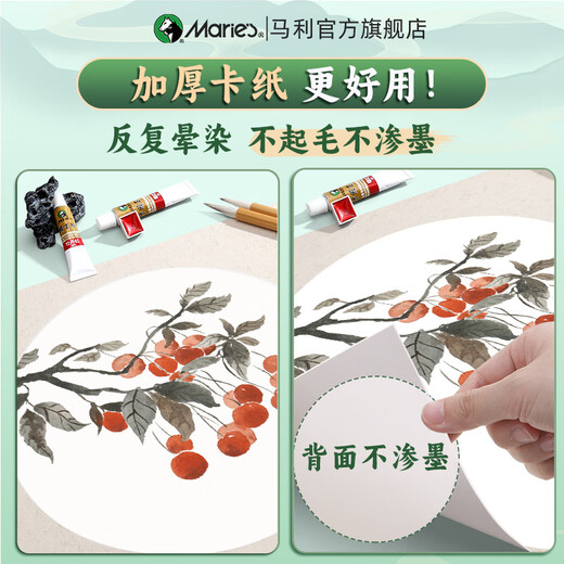 Marley Xuan card paper Chinese painting pigment set for beginners Chinese painting ink raw and cooked Xuan soft card meticulous painting primary school students half-cooked entry-level Chinese painting tools practical 16 pieces 12 colors 5ml