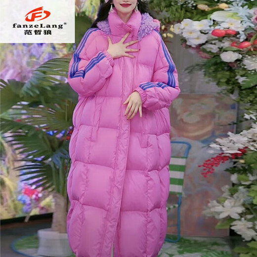 FanzELANG (FANZELANG) 400g down thickened cold-resistant 30-degree warm white duck down extreme cold down jacket for women 2026 winter long outdoor jacket leather powder M 101-120Jin Jin equal to 0.5 kg (prepared)