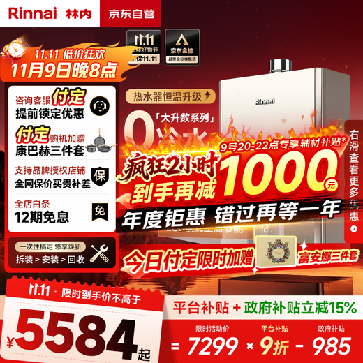 Rinnai Blue Whale 24L gas water heater, state subsidy, zero cold water, large water volume 24GD61R (JSQ47-GD61R)