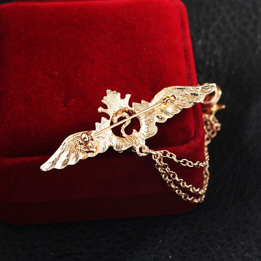 Fat Donglai's same brooch for men, Korean version, trendy retro college style, navy style, crown, cross, wings, alloy emblem for women, retro silver skull shield