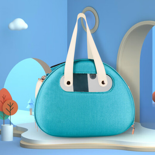 Neue Haustiertasche, praktisch zum Ausgehen, transparenter Katzen- und Hunderucksack, faltbare und atmungsaktive tragbare Katzentasche, Katzenbedarf im Großhandel, himmelblau 39 * 27 * 30 cm