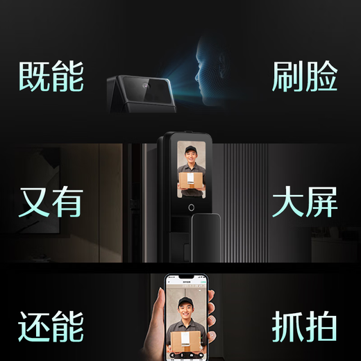 德施曼（DESMAN）智能门锁C级锁芯3D人脸识别大屏指纹密码防盗电子锁 大圣 Q5FPro