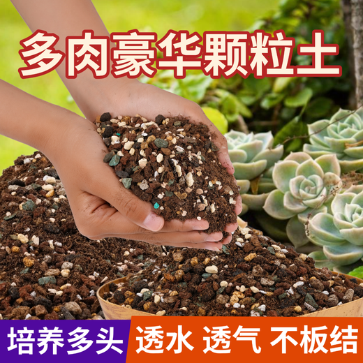 Flower Master Succulent Nutritional Soil Special Granular Soil Succulent Soil Potted Planting Soil for Seedlings and Old Piles Breathable Soil Luxurious Succulent Soil 5Jin Jin is equal to 0.5kg, universal for seedlings.