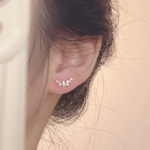 Wheat earrings 2025 new popular niche design high-end S925 sterling silver temperament exquisite earrings A3008-Wheat small earrings 1 pair of earrings