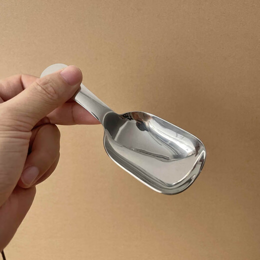 RSRDDY304 stainless steel thickened short-handled teaspoon, mini small spoon, coffee measuring spoon, tea spoon, tea shovel, scoop, spoon, glossy tea spoon, 1 pack