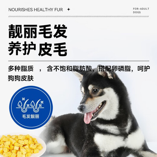 Lilang Ruerpai dog food 2.5kg adult dog puppy small dog universal Teddy Pomeranian Bichon Frize main food 5Jin Jin equals 0.5kg 2 bags 10Jin Jin equals 0.5kg 6 pieces full price fresh meat dog food 2.5kg