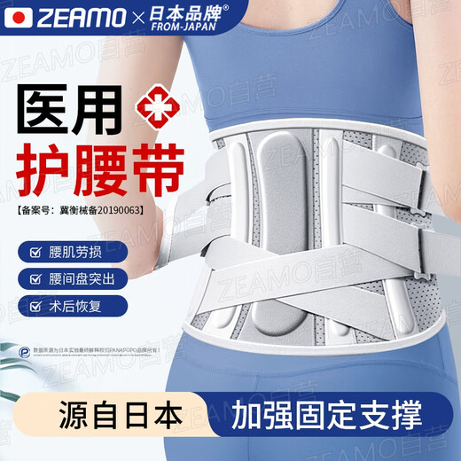 ZEAMO Japanese medical grade waist support belt, lumbar disc herniation, low back pain, lumbar muscle strain, sedentary artifact for men and women