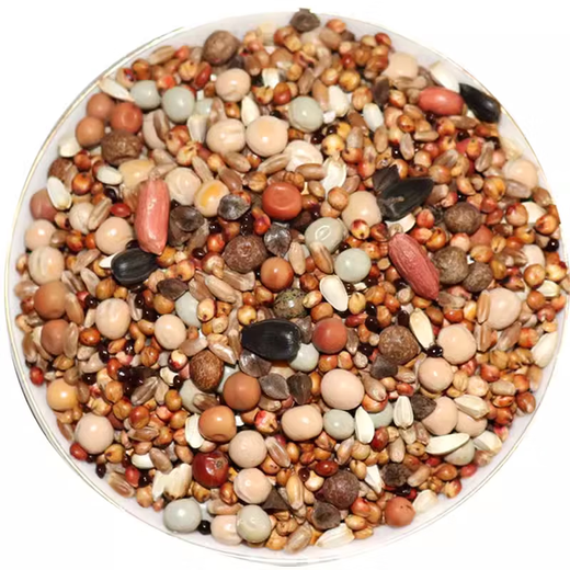 Other horticultural high-quality nutritious pigeon food, meat pigeons, ornamental pigeons, homing pigeons, racing pigeons, Yuanbao pigeons, young pigeon feed, breeding pigeons, pigeon food with corn 10 Jin Jin is equal to 0.5 kg