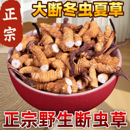 [Support quality inspection] 10g Cordyceps Cordyceps Cordyceps Cordyceps self-feeding nourishing authentic Cordyceps Cordyceps Cordyceps Cordyceps Cordyceps Cordyceps Cordyceps 20g package free two grams of 22g
