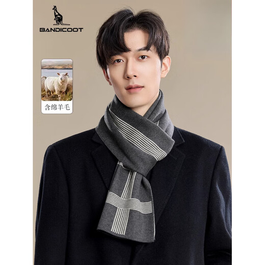 Kangaroo (DAISHU) men's scarf 2025 new winter outdoor warm wool containing fashion versatile business simple scarf for men pure gray