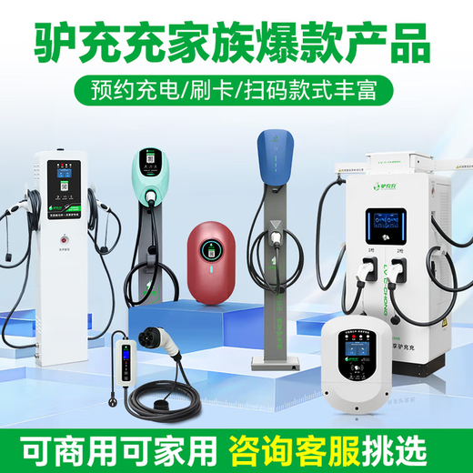 Lvchongchang Charging Pile New Energy Electric Vehicle Commercial Charging Pile Community Shared Shopping Mall B&B Scan QR Code Toll Charging Station 14KW Charging Pile - Scan QR Code + Swipe Card Standing Cabinet Double Gun 2ZA7-2