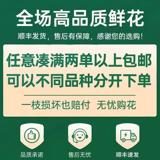 Yunnan flowers wholesale quality roses, lilies, water-raised fresh cut flowers for your girlfriend, water-raised flowers straight from the source, hydrangea pink - 1 piece (dark pink and light pink randomly shipped), choose 2 pieces, no shipping fee