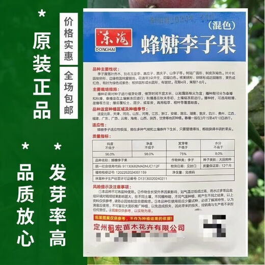 Bee Sugar Plum Fruit Seeds, Cold-resistant New Variety Mixed Color Large Plums Potted Ground Planting in the North and South, Perennial Bee Sugar Plum Fruit Seeds, 5 packs, about 25 capsules