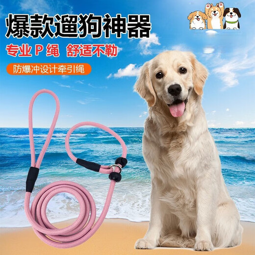 Dog training dog leash, professional all-in-one explosion-proof small and medium-sized dog leash, dog walking P chain, pet leash - with ring type - dark gray - 1 piece