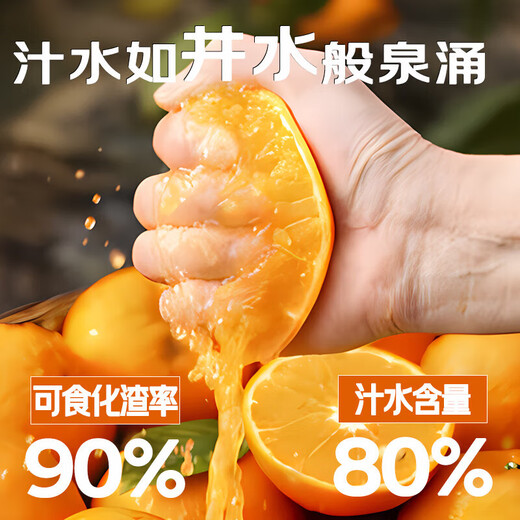 Shengrong Fruits and Vegetables Linhai Yongquan Mandarin Oranges SF/EMS-Next Day Delivery to Many Places Huangyan Mandarin Oranges Seasonal Fresh Fruits Tribute Grade Single Fruit 70-80mm Best Choice for Gifts 10Jin Jin Equivalent to 0.5kg Gift Box Premium Yongquan Mandarin Oranges Net 9Jin Jin Equivalent to 0.5kg