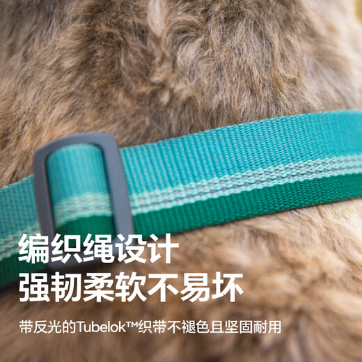 Ruffwell Ryan's webbing dog collar small dog ruffwear pet collar dog collar Shiba Inu dog collar collar River Rock Green XS
