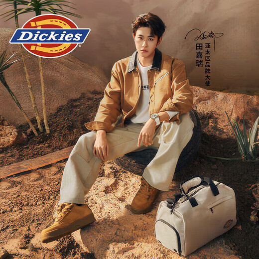 Dickies Tian Jiarui's same style, Zeng Keni's same style, men's sneakers, low-top casual shoes, work shoes, yellow brown 41